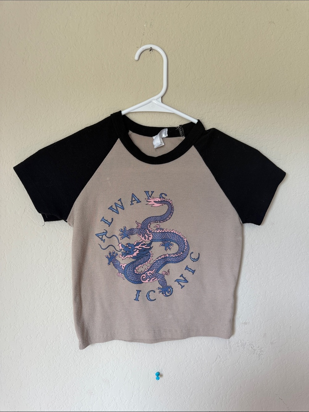 Amazon Kids Raglan Tee - Black & Taupe with Blue and Pink Dragon Graphic